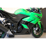 Kawasaki Ninja 250R - hezký stav, ŘP sk. A2