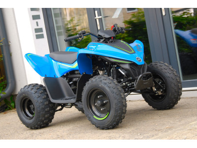 CFMOTO X110LE