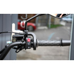 CFMOTO 250 Dual Sport GREY
