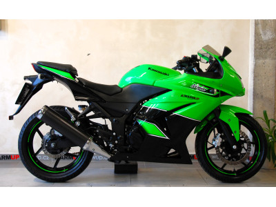 Kawasaki Ninja 250R - hezký stav, ŘP sk. A2