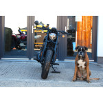 CFMOTO 450CL-C Bobber BLACK