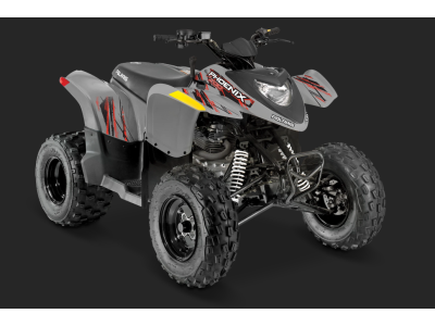 Polaris Phoenix 200