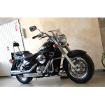 Kawasaki VN 800 Classic