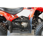 Polaris Phoenix 200 - VÝPRODEJ