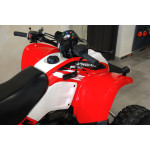 Polaris Phoenix 200 - VÝPRODEJ