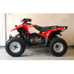Polaris Phoenix 200 - VÝPRODEJ