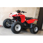 Polaris Phoenix 200 - VÝPRODEJ