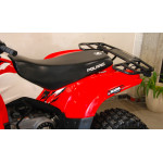 Polaris Phoenix 200 - VÝPRODEJ
