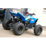 CFMOTO X110LE