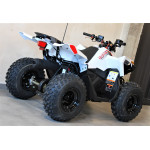 Polaris Outlaw 70 EFI