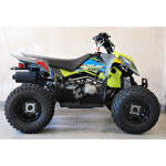 Polaris Outlaw 110 EFI