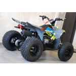 Polaris Outlaw 110 EFI