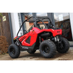 Polaris RZR 200