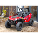 Polaris RZR 200