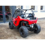 Polaris RZR 200