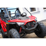 Polaris RZR 200