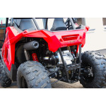 Polaris RZR 200