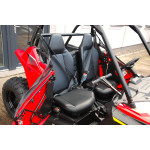 Polaris RZR 200