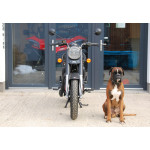 Royal Enfield Classic 350 BLACK