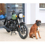 Royal Enfield 350 Meteor GREEN