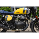 Royal Enfield Bear 650 WILD HONEY
