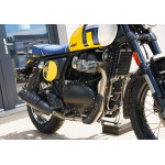 Royal Enfield Bear 650 WILD HONEY