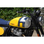 Royal Enfield Bear 650 WILD HONEY