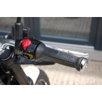 Royal Enfield Bear 650 WILD HONEY