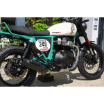 Royal Enfield Bear 650 TWO FOUR NINE