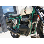 Royal Enfield Bear 650 TWO FOUR NINE