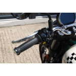 Royal Enfield Bear 650 TWO FOUR NINE