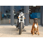 Jawa 350 CL Pérák WHITE